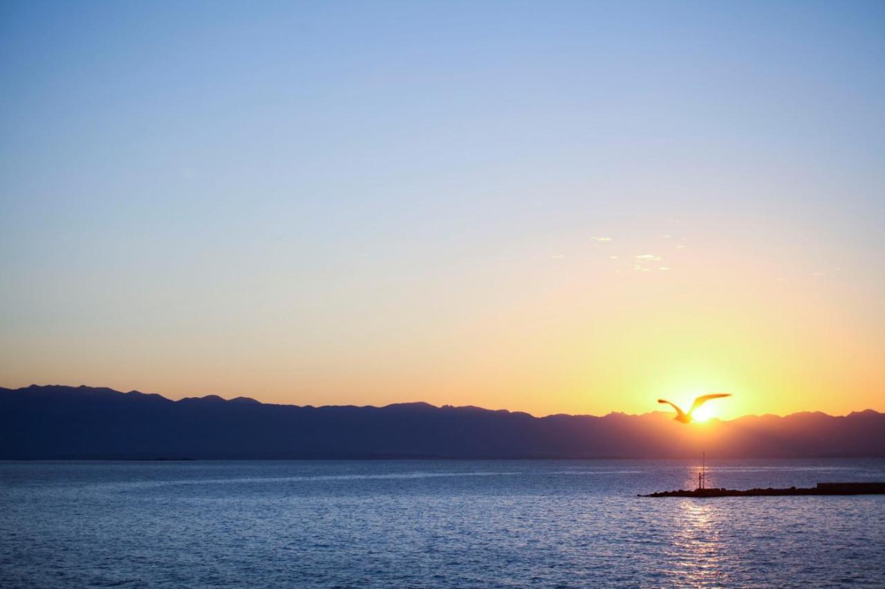Apartments Villa Adrienne Mali Lošinj Zewnętrze zdjęcie